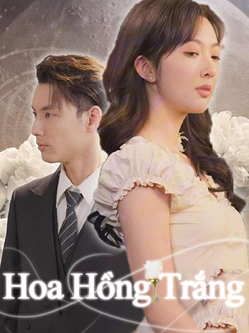 Hoa hồng trắng