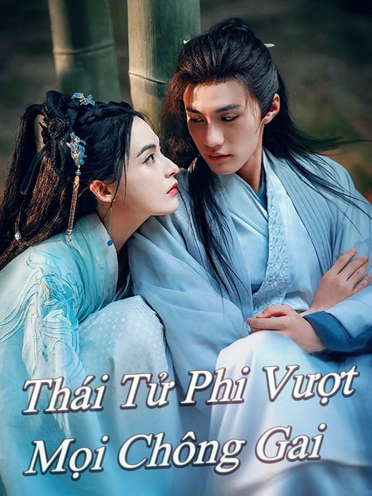 Thái Tử Phi Vượt Mọi Chông Gai